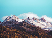 亚博体育平台-中国选手温瑞博战胜张本智和，晋级WTT重庆冠军赛男单决赛