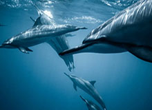 乐鱼体育：让运动成为生活的快乐原力