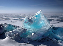 亚博体育平台-中国选手温瑞博战胜张本智和，晋级WTT重庆冠军赛男单决赛